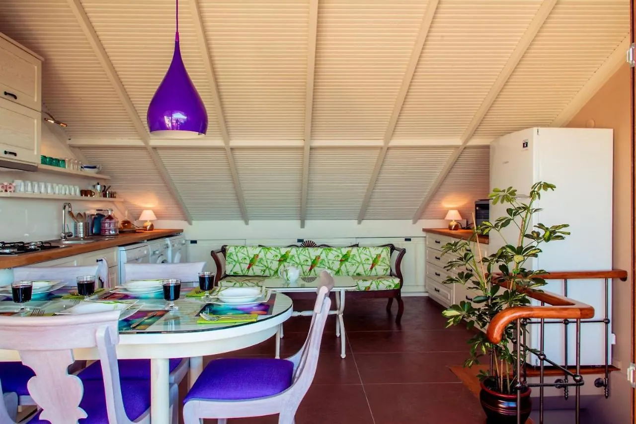 Beautiful Apartment With Bosphorus Views Istanbul
